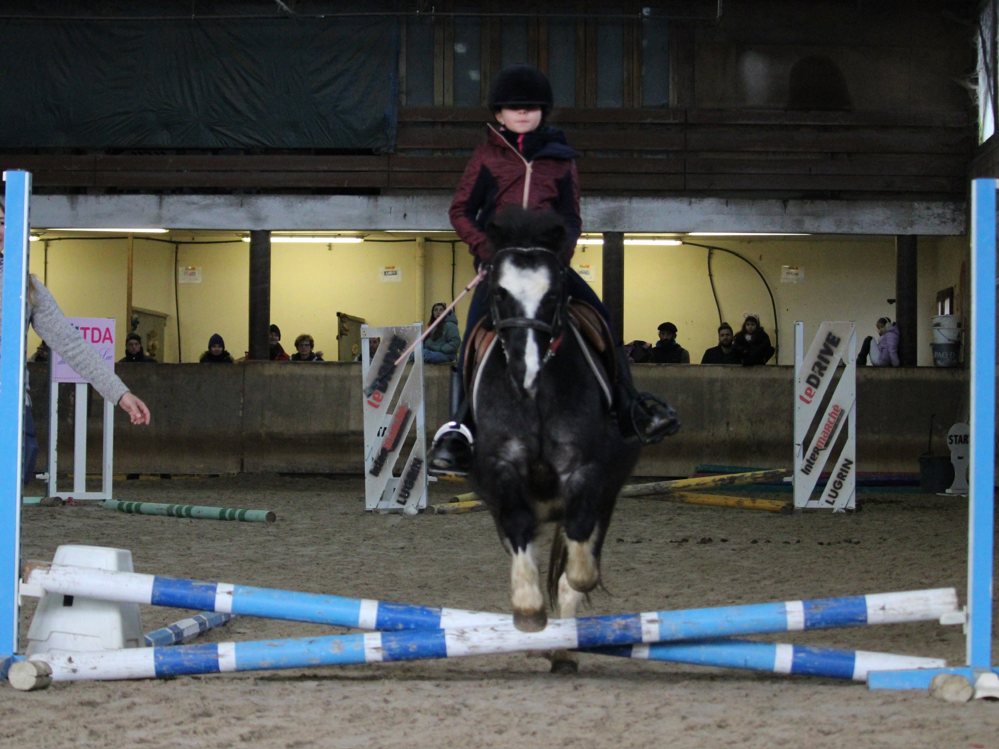 Pony jumping demonstration